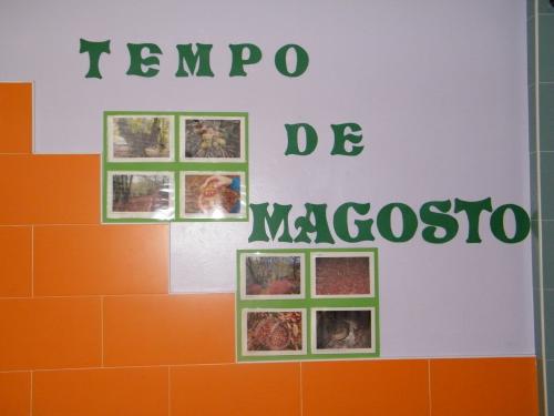 MAGOSTO 2010