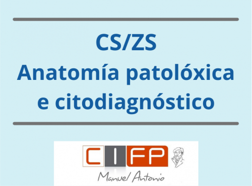 CS/ZS Anatomía patolóxica