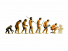 EVOLUCION.jpg