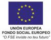 Fondo Social Europeo (FSE)