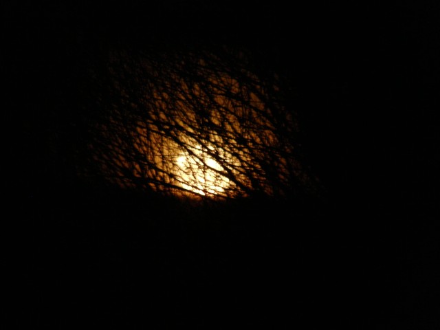 A Lúa saudounos en laranxa