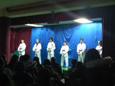 Exhibición Taekwondo
