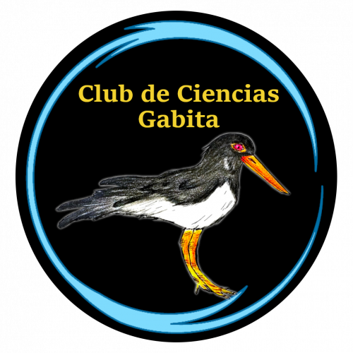 Logo_Gabita negro