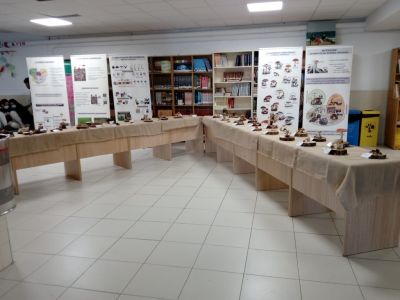 Exposición micolóxica