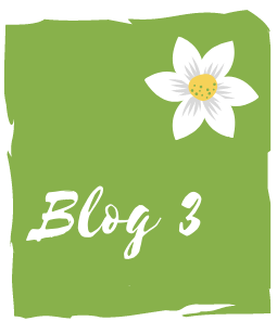 Logo blog 3