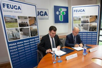Xunta e FEUGA colaborarán na transferencia de coñecemento e no posicionamento internacional das universidades galegas 