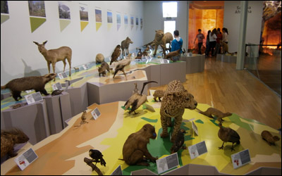 Museo de Historia Natural de Santiago - 2016