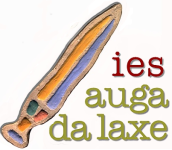 Logotipo de IES AUGA DA LAXE